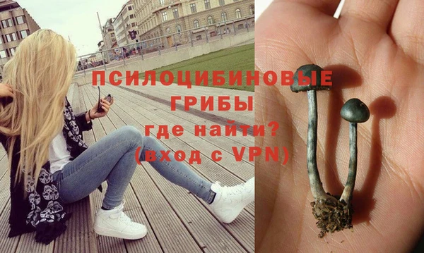 а пвп мука Верея